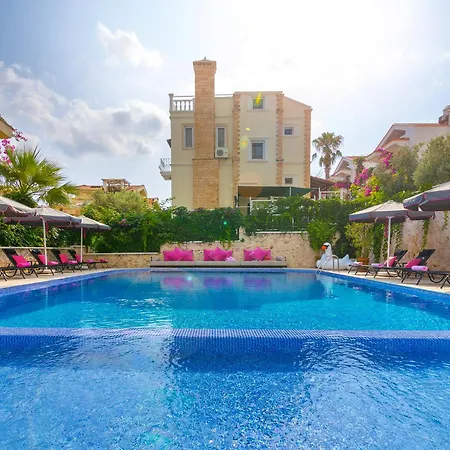 201 * Kalkan
